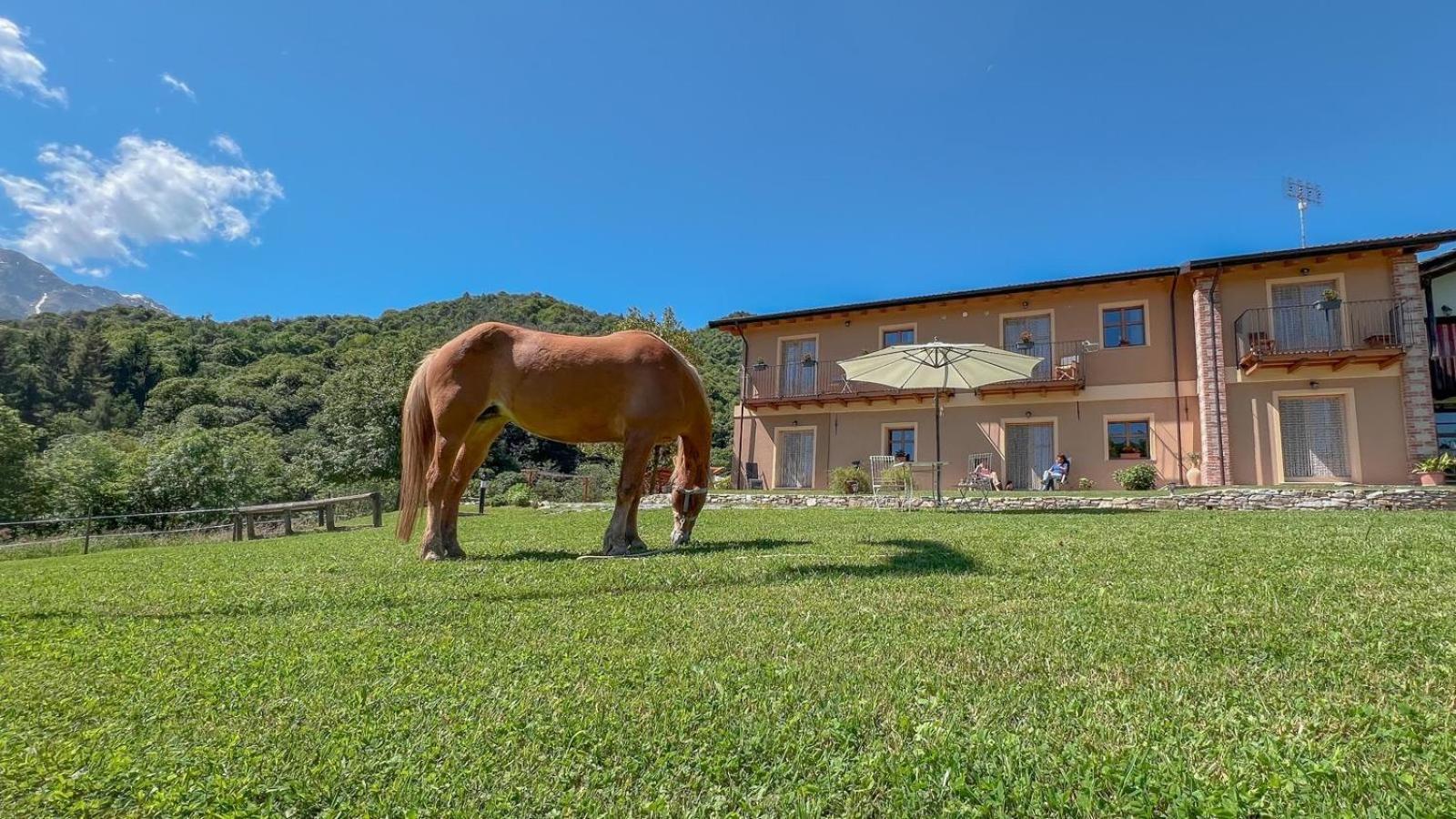 Ranch Enbruca Apartment Boves Exterior photo